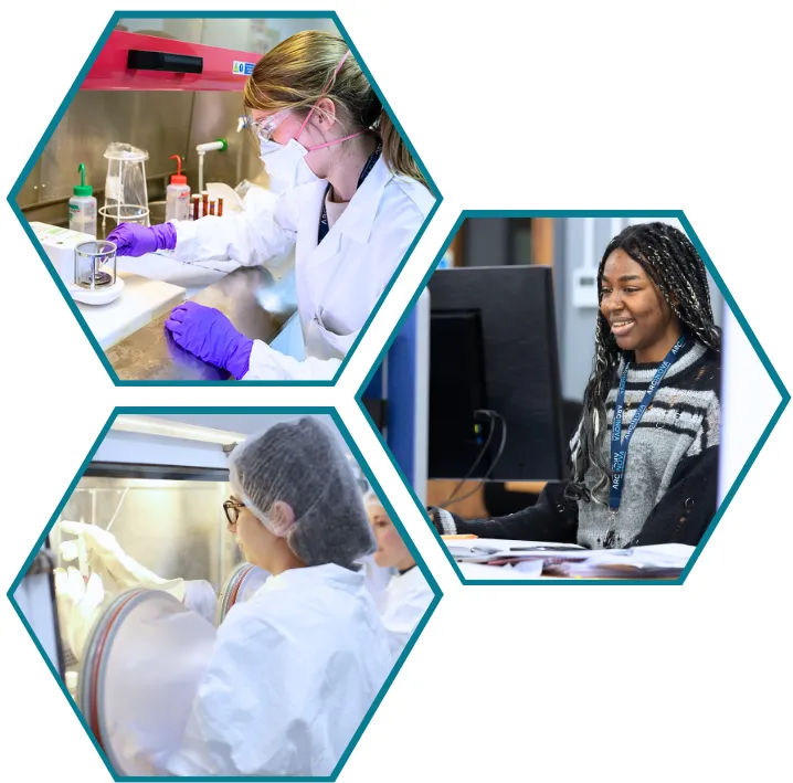 Integrated CMC - analytical and DP manufacture